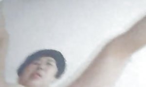 性感的秘籍圣安德烈亚斯的电脑通过猫